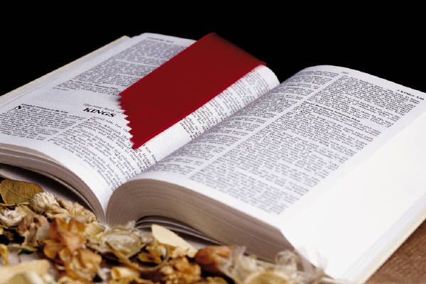 Photo of a Bible open with a red bookmark